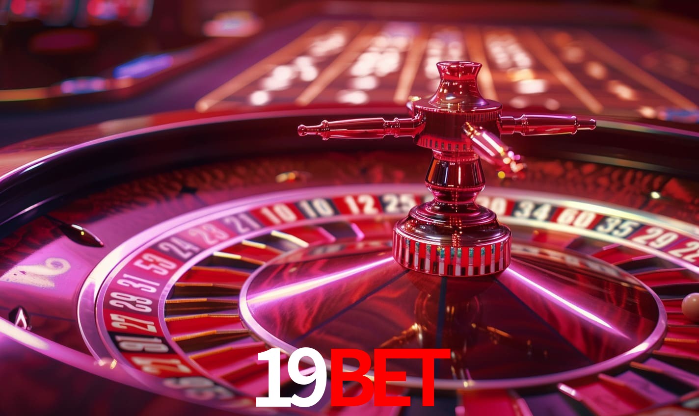 A Experiência Imersiva dos Cassinos Ao Vivo no 19bet